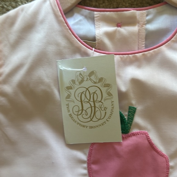TBBC BNWT The Beaufort Bonnet Company Brand New Apple Dress Size 3T never worn - Picture 2 of 4